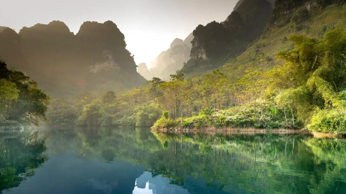 智能高性能高性能